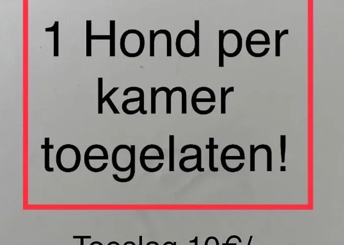 B&B De Notelaar