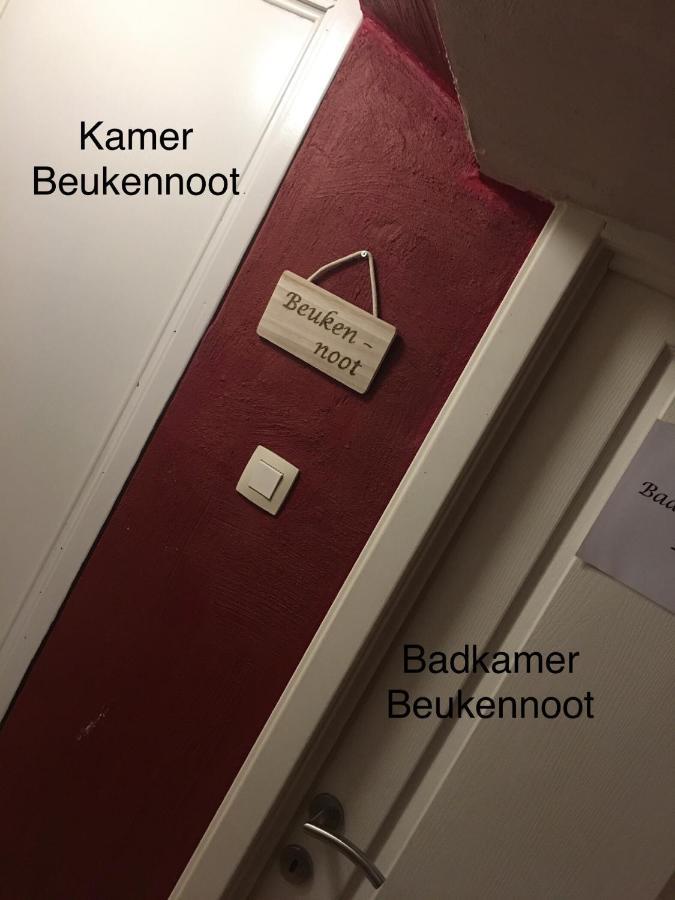 De Notelaar