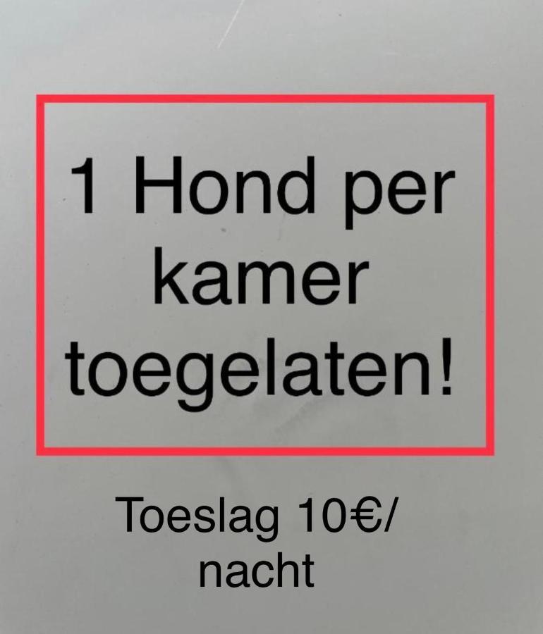 De Notelaar